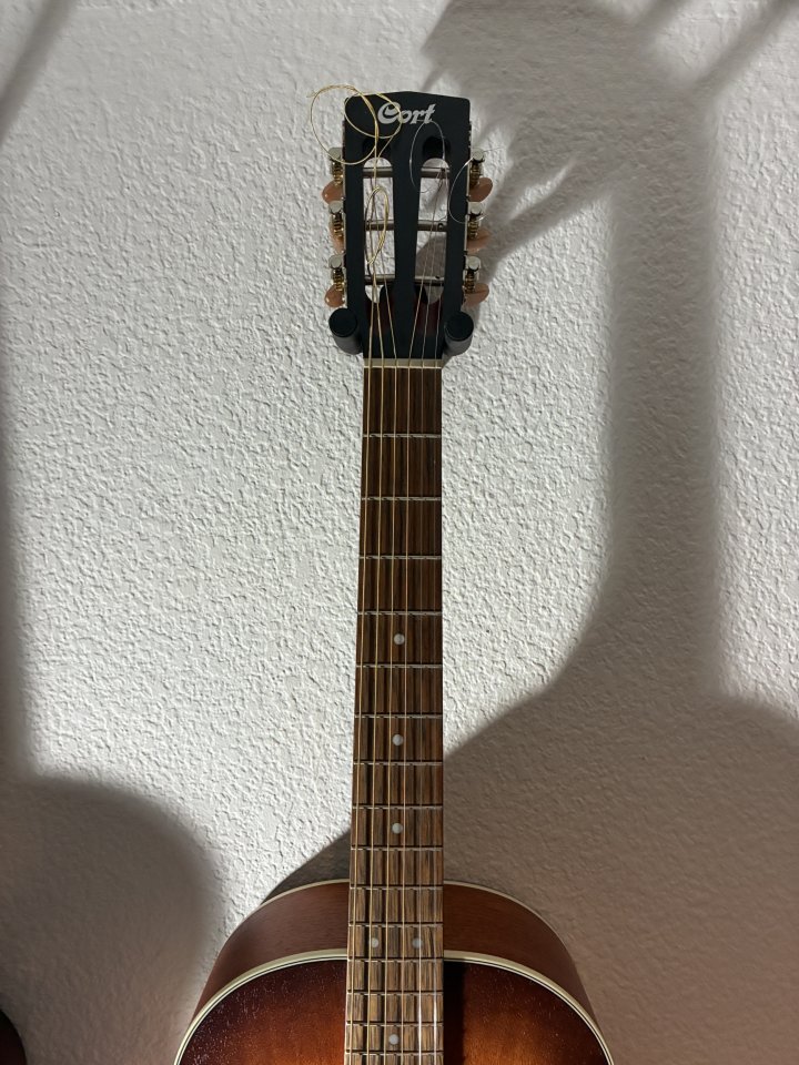 PARLOR acústica Cort