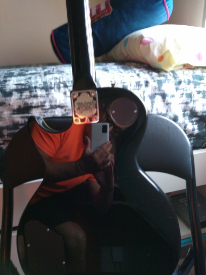 Les Paul Hohner serie Arbor