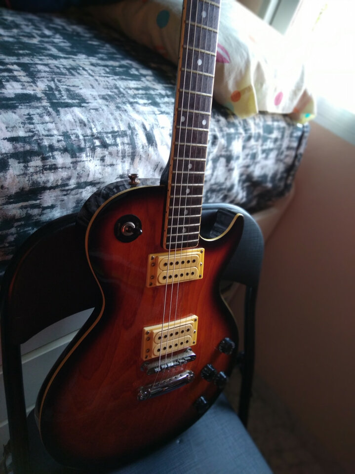 Les Paul Hohner serie Arbor