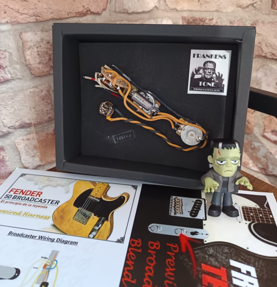 Arnes precableado TELECASTER/BROADCASTER. de segunda mano · Foto 2 de 6 · Bizkaia · 90 €