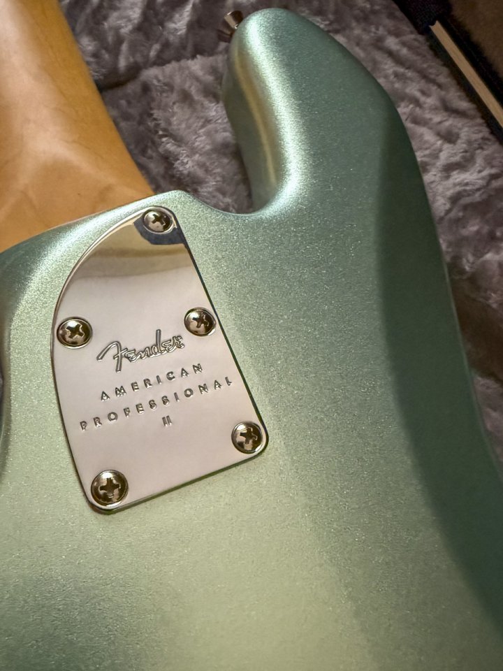 Fender AM Pro II Jazz Bass V de segunda mano · Foto 5 de 7 · Bizkaia · 1700 €