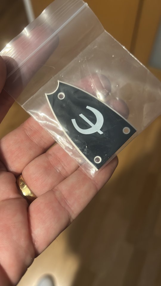 Epiphone Century Inspired by 1966