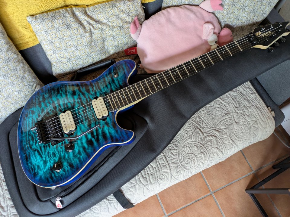 EVH Wolfgang Special, chlorine burst, diapasón de ébano de segunda mano · Foto 2 de 10 · Madrid · 670 €