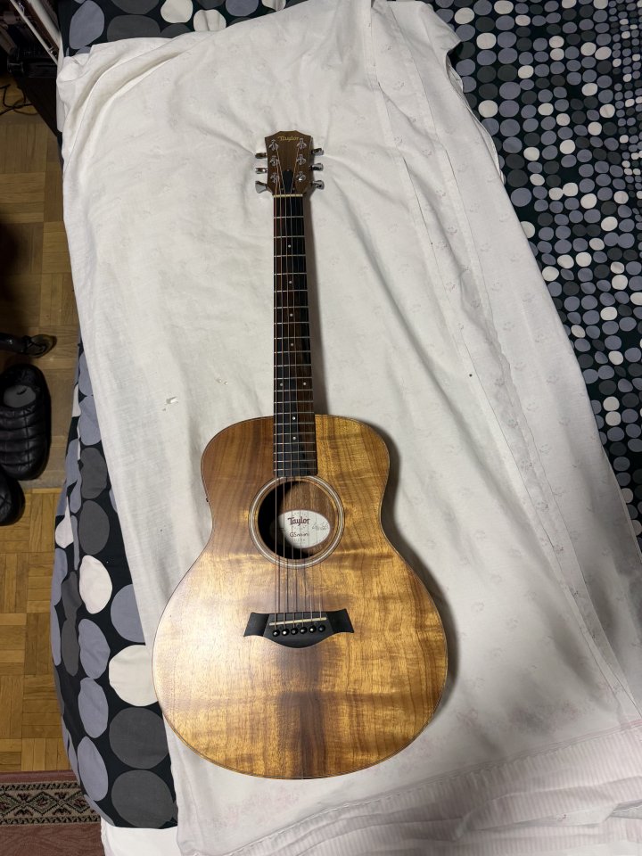 Taylor gs mini e Koa