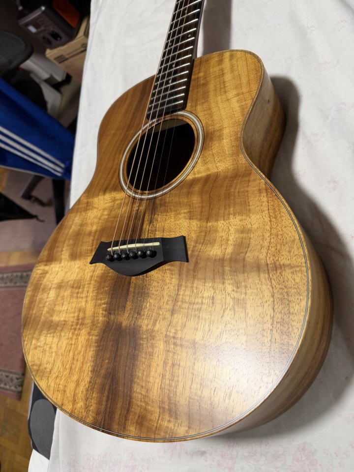 Taylor gs mini e Koa
