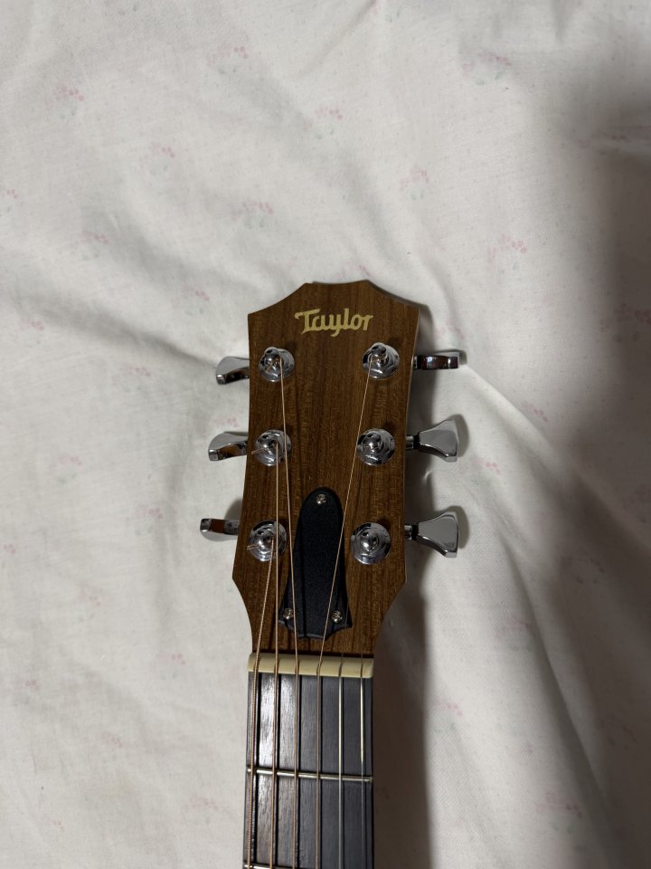 Taylor gs mini e Koa