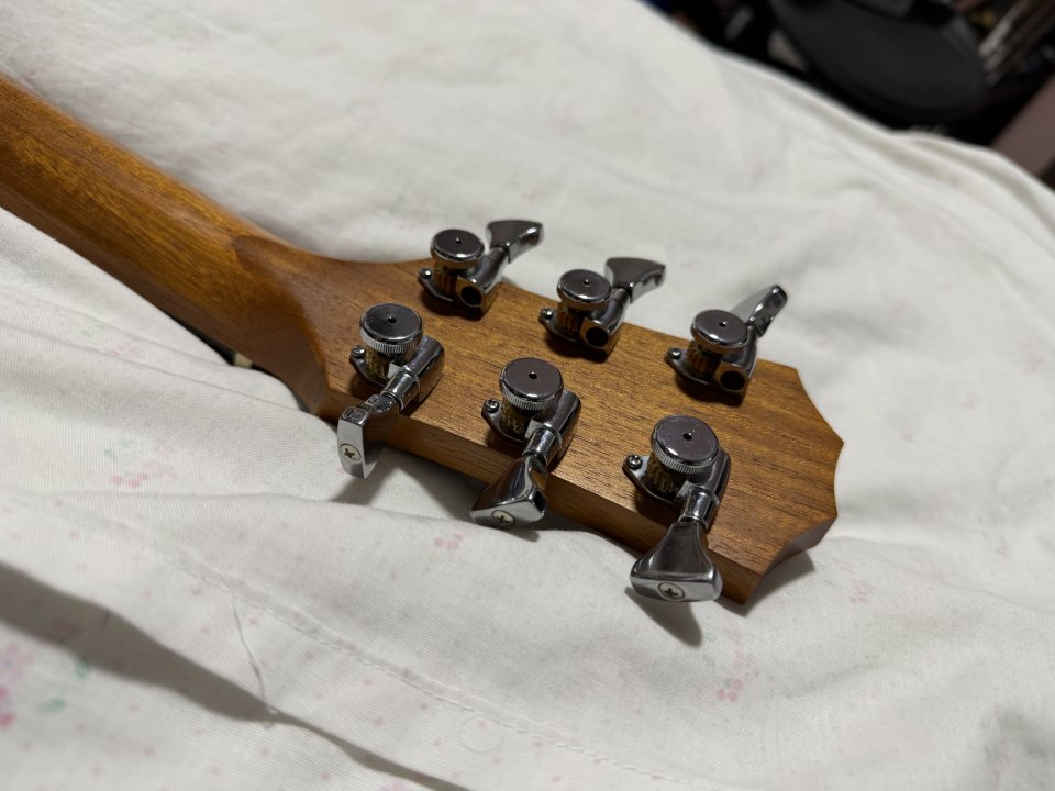 Taylor gs mini e Koa