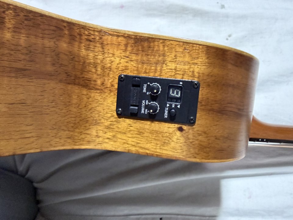 Taylor gs mini e Koa