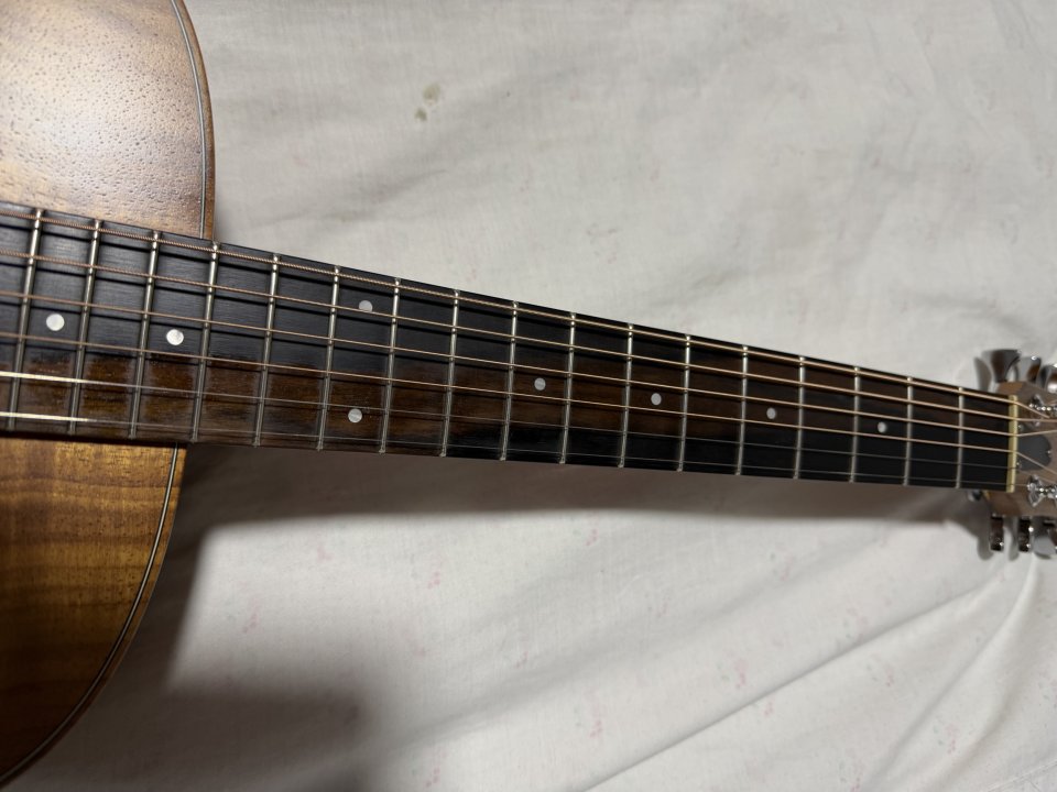 Taylor gs mini e Koa