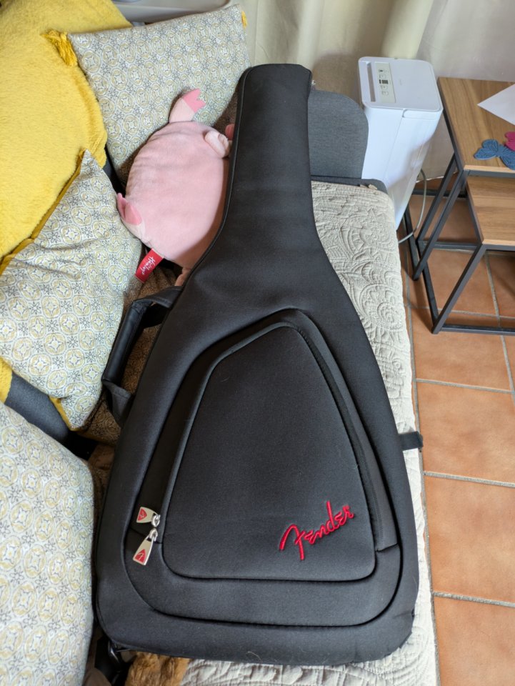 EVH Wolfgang Special, chlorine burst, diapasón de ébano de segunda mano · Foto 9 de 10 · Madrid · 670 €