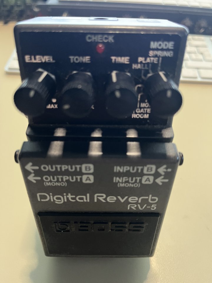 Boss Digital Reverb RV-5