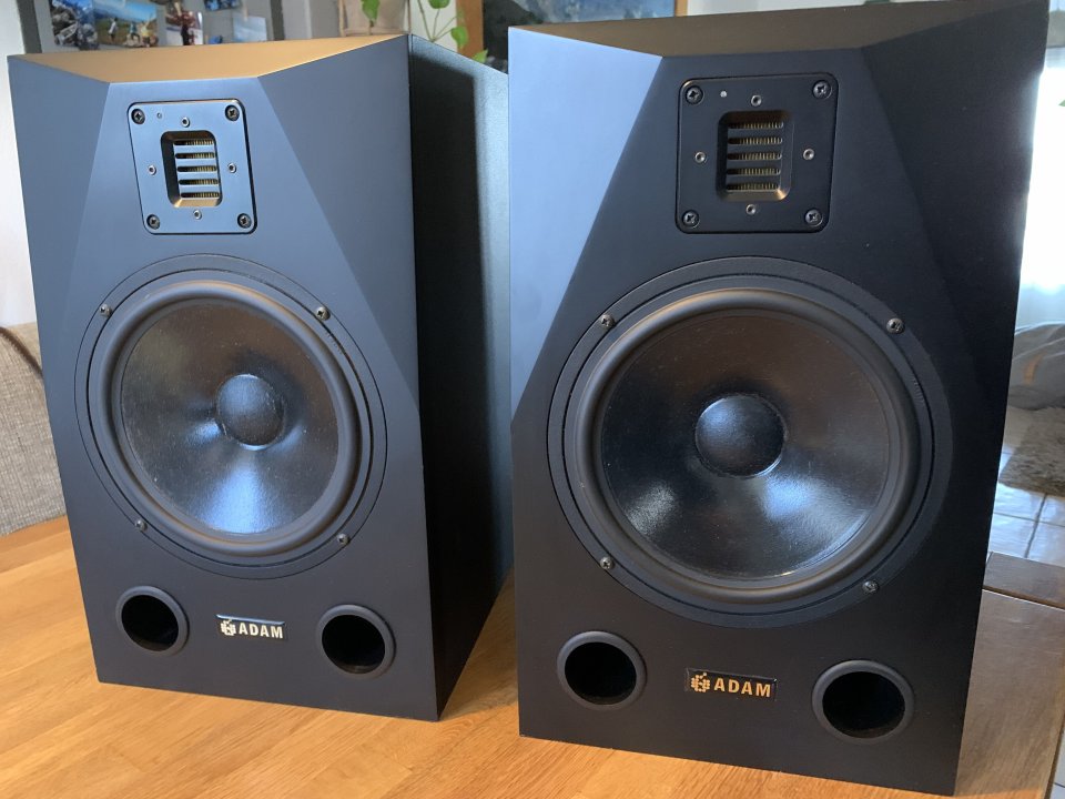 ADAM Audio   P22 y Sub 12"  conjunto