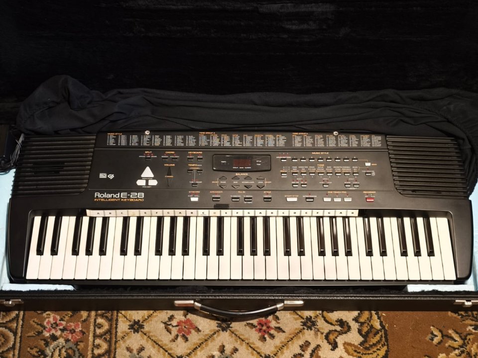 Guitarras variadas, amplis, etc, y más material, 2a parte