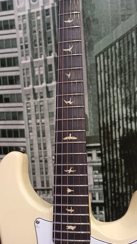 PRS SE Silver SKy.