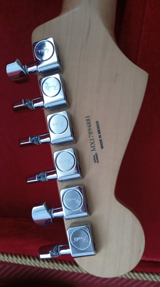 Vendo Fender Duo Sonic