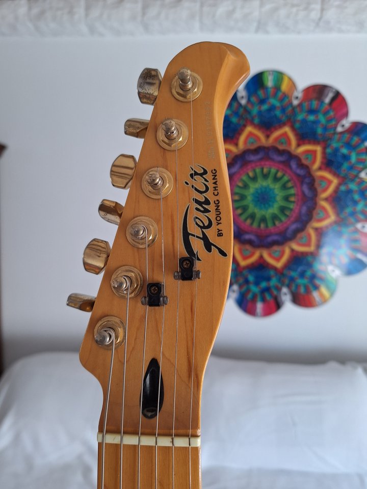 Telecaster, Fenix, coreana