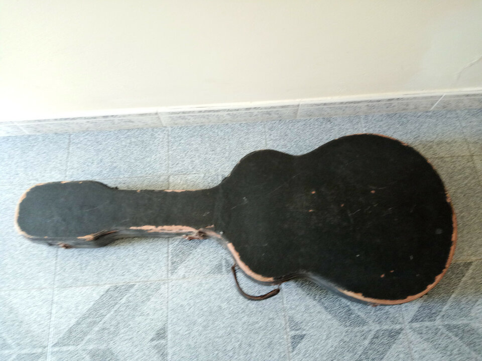 Hofner 4571/E2 Thinline (1965/66)