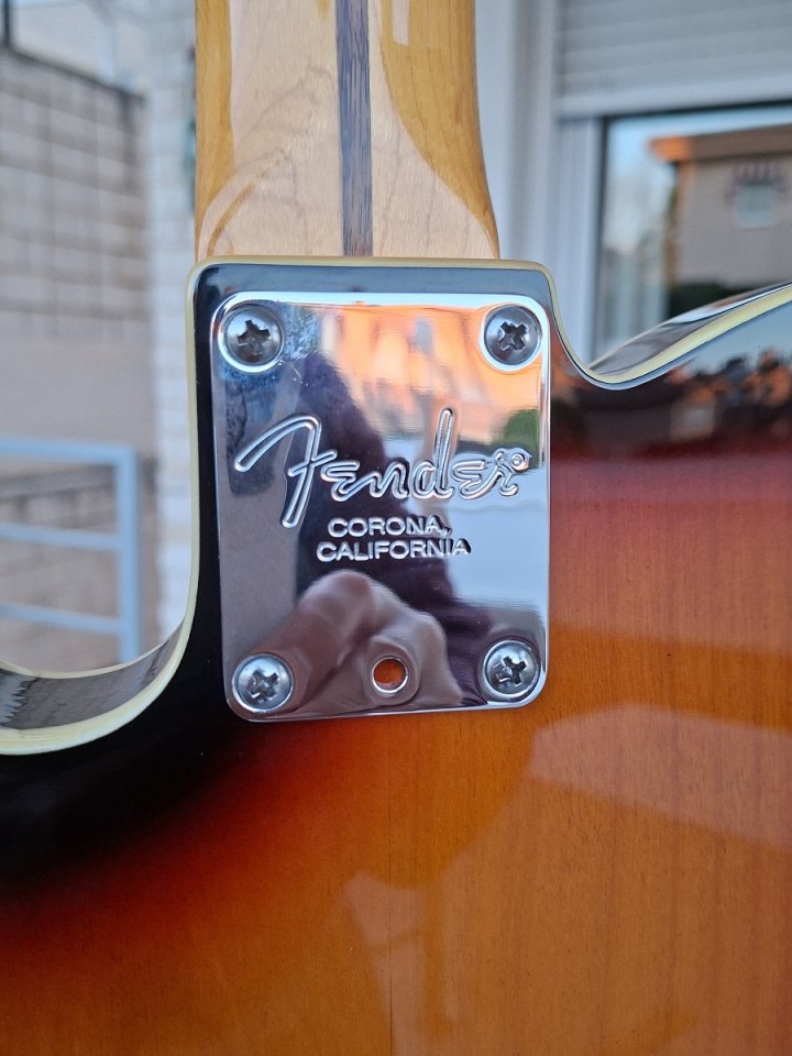 Telecaster - Telepartster