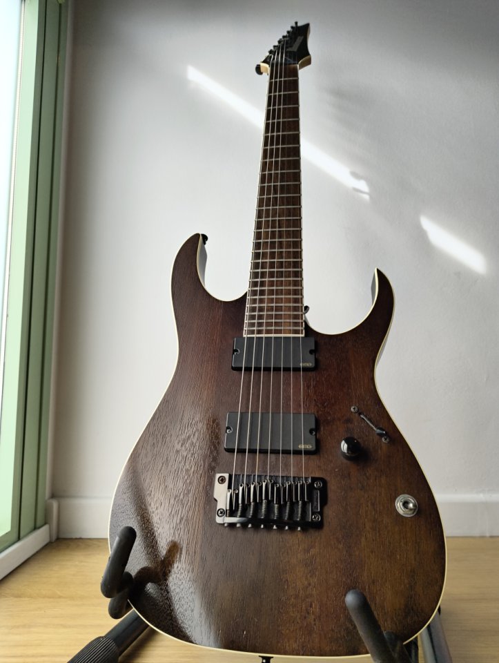 Ibanez RGIR27BFE Iron Label + Hard Case de segunda mano · Foto 1 de 7 · Murcia · 400 €