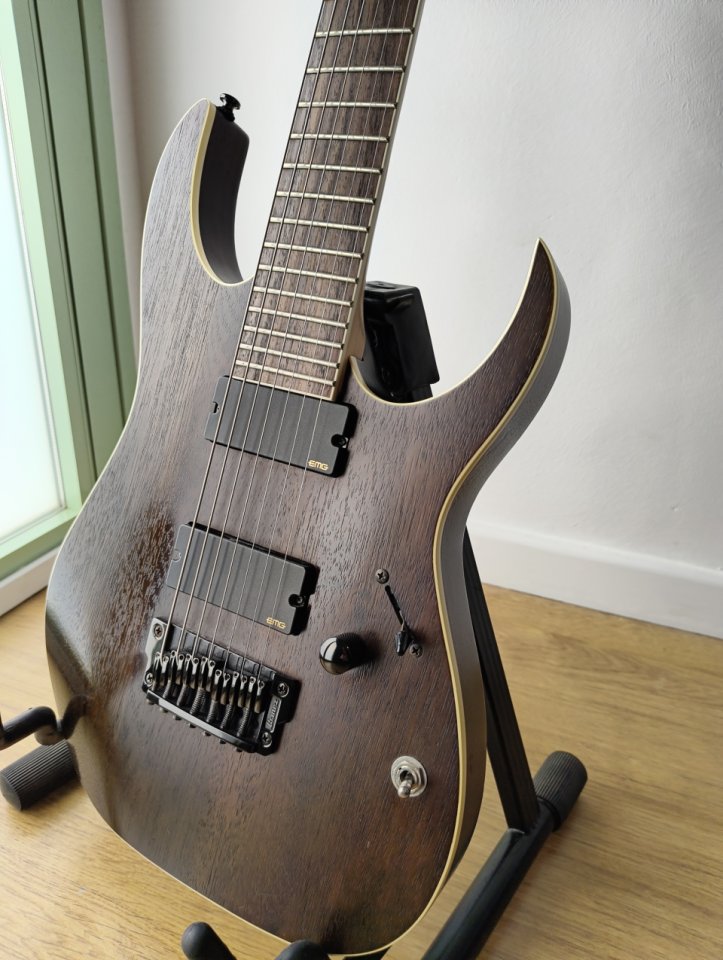 Ibanez RGIR27BFE Iron Label + Hard Case de segunda mano · Foto 3 de 7 · Murcia · 400 €