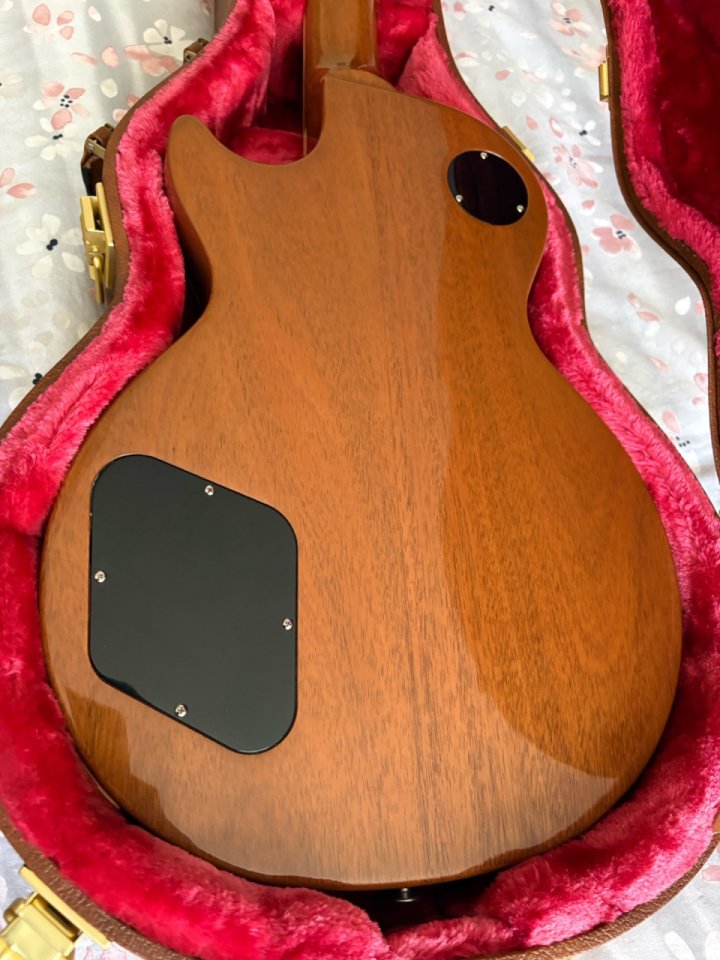 Gibson Les Paul Standard (3,8kg) + MEJORAS!