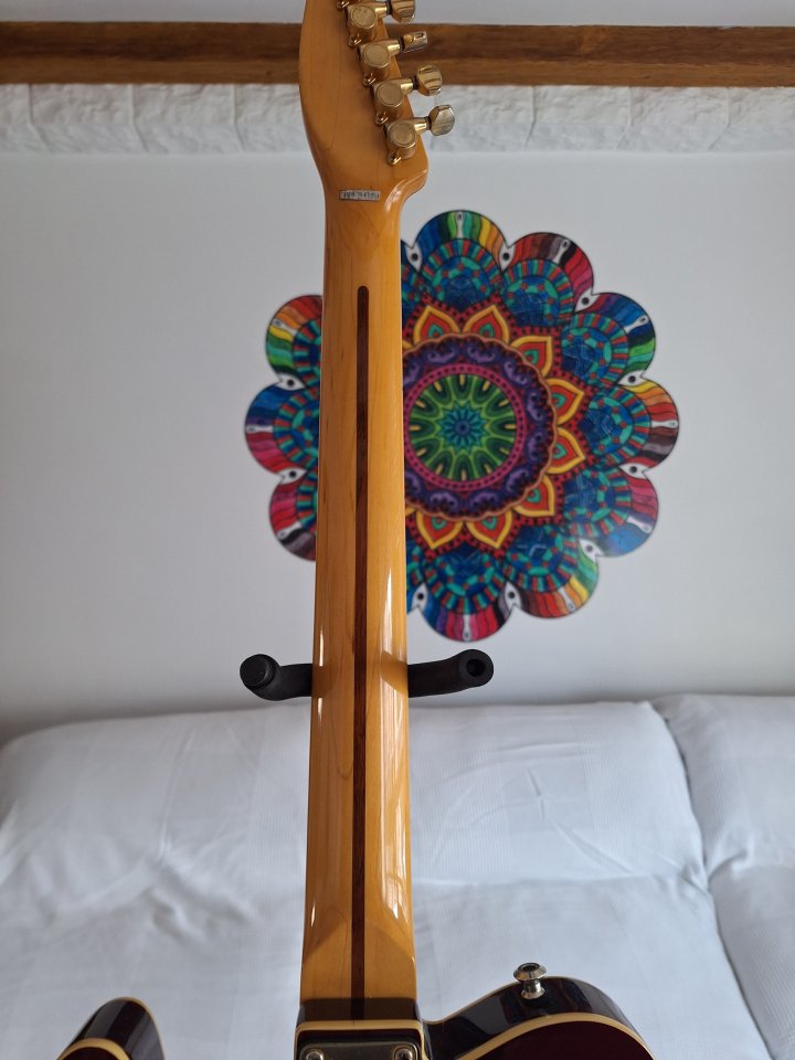 Telecaster, Fenix, coreana