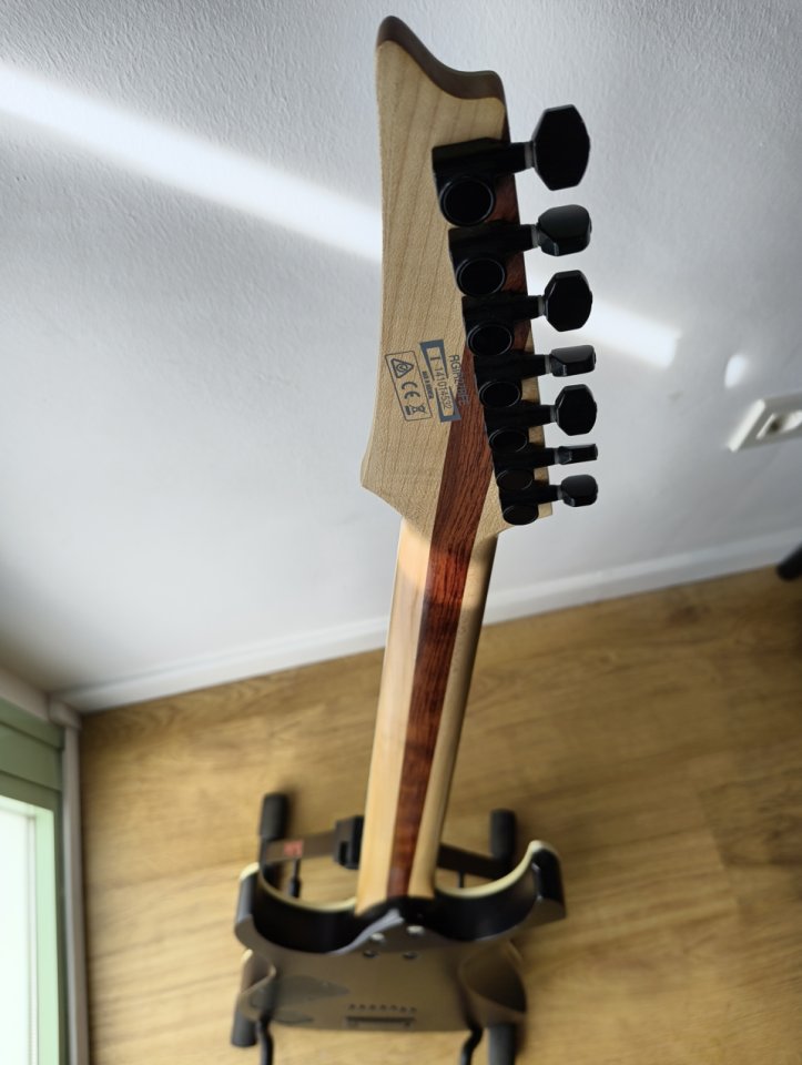 Ibanez RGIR27BFE Iron Label + Hard Case de segunda mano · Foto 5 de 7 · Murcia · 400 €