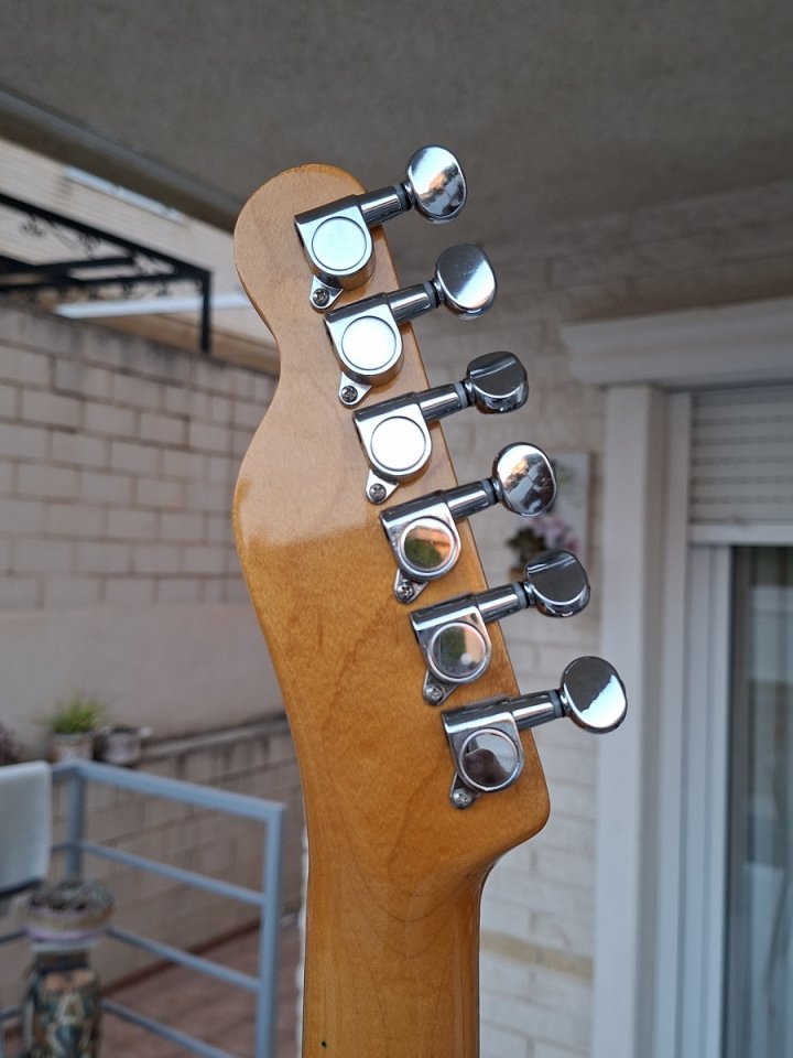 Telecaster - Telepartster