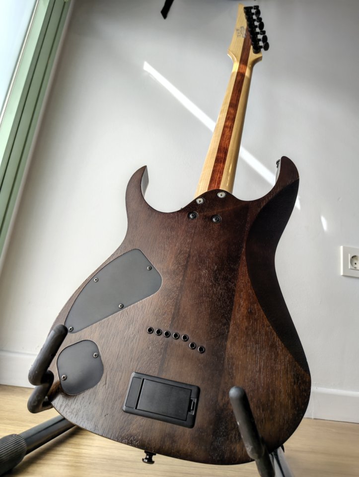 Ibanez RGIR27BFE Iron Label + Hard Case de segunda mano · Foto 6 de 7 · Murcia · 400 €