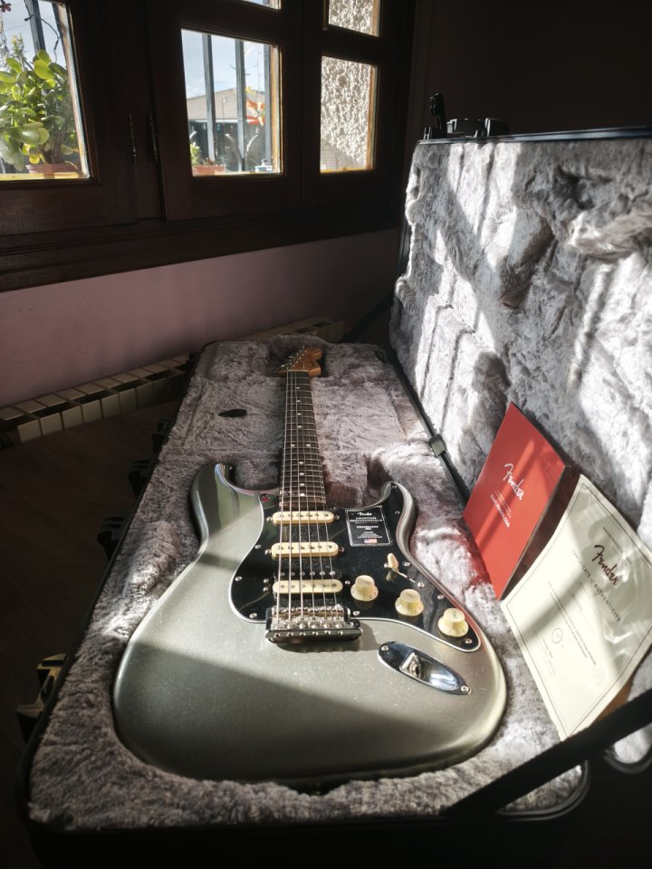 Fender American Profesional 2 HSS Mercury