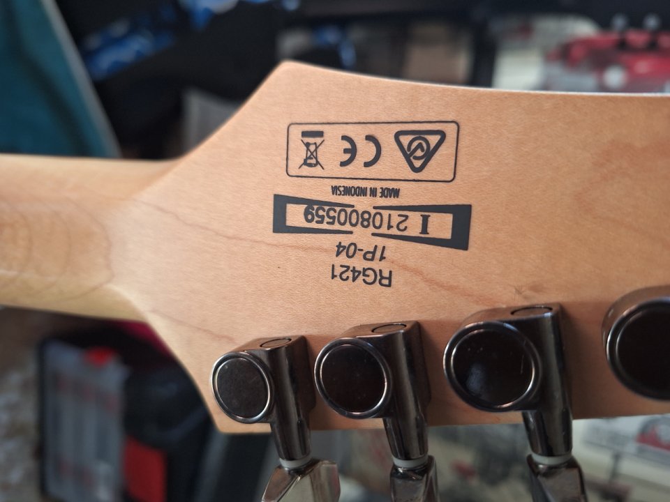 ibanez rg421  1P-04