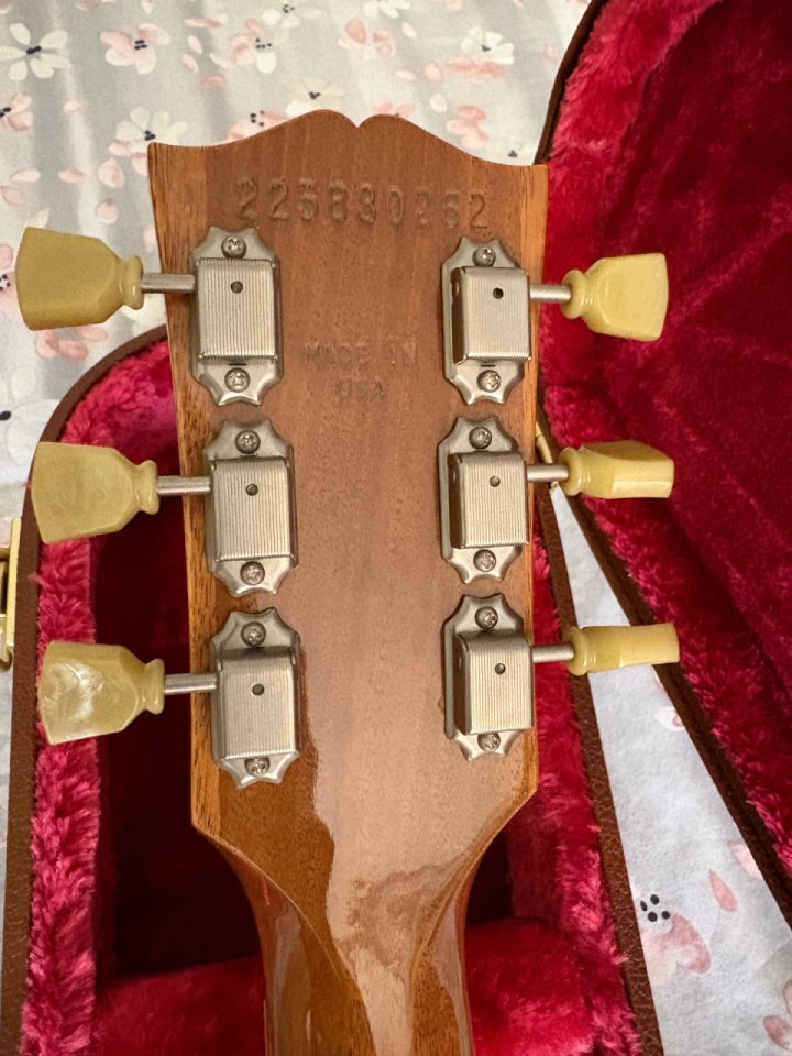 Gibson Les Paul Standard (3,8kg) + MEJORAS!