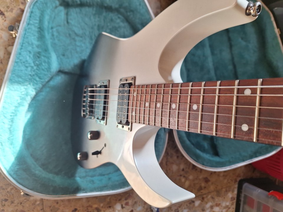ibanez rg421  1P-04