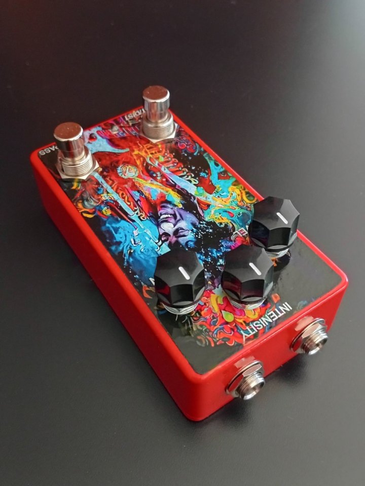 ‼️ENVIO INCLUIDO Tipo Octavio FUZZ/Dist