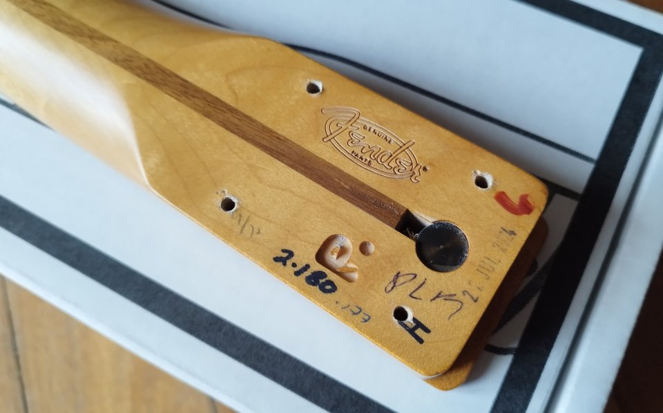 Mástil Telecaster Player II