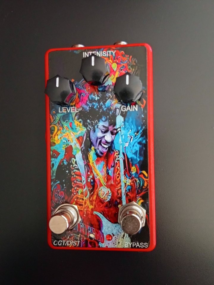 ‼️ENVIO INCLUIDO Tipo Octavio FUZZ/Dist