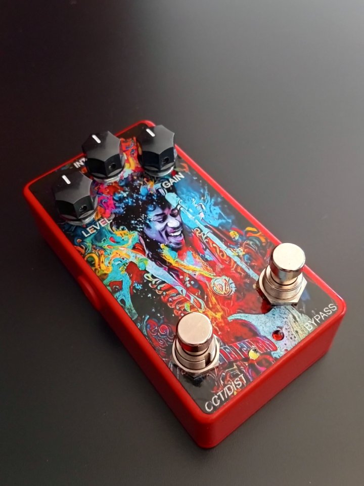 ‼️ENVIO INCLUIDO Tipo Octavio FUZZ/Dist