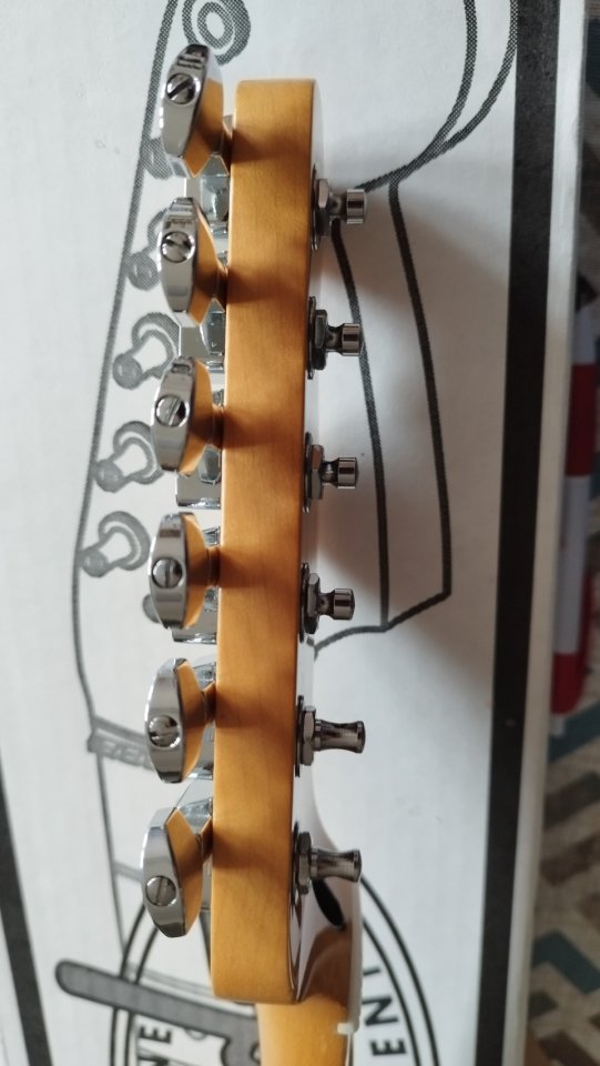 Mástil Telecaster Player II