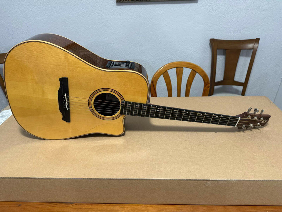 Electroacústica Alhambra W2 CW E5 - NUEVA,A ESTRENAR Solo Venta, NO Cambios