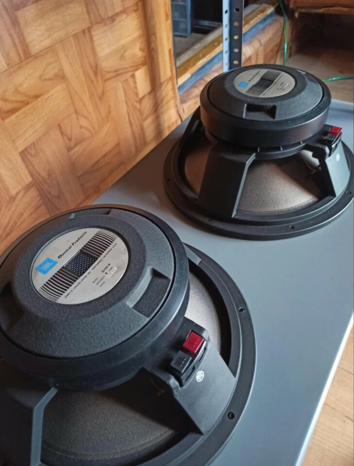 Altavoces Guitarra JBL G125-8, con Regalo!