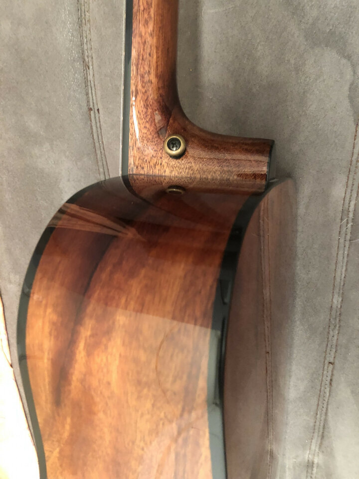 Acustica D’angelico Koa