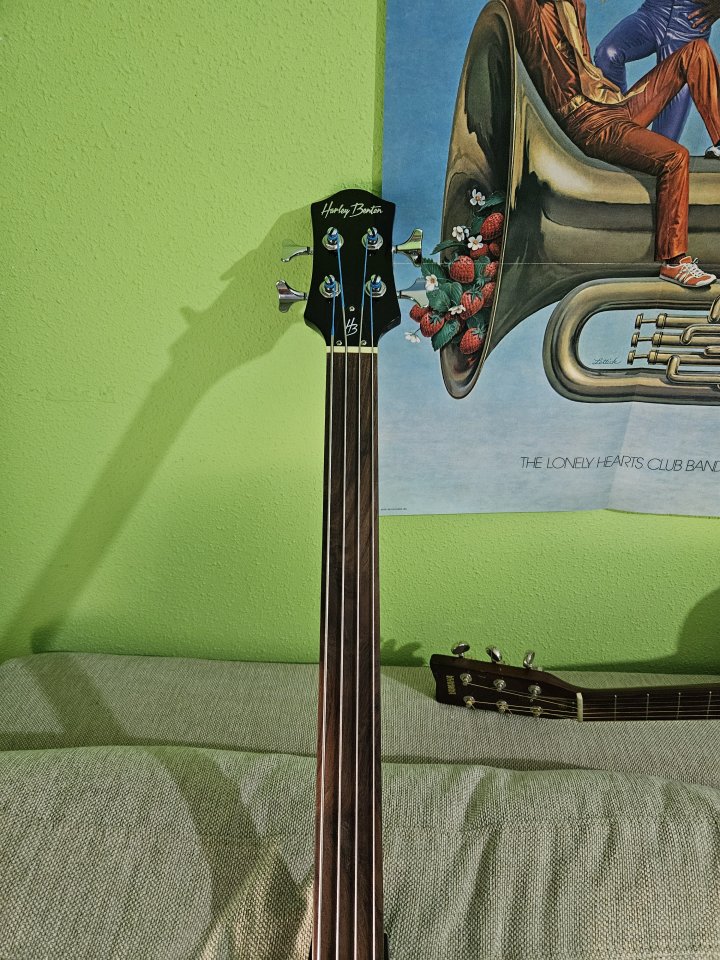 Bajo violin bass Harley Benton fretless
