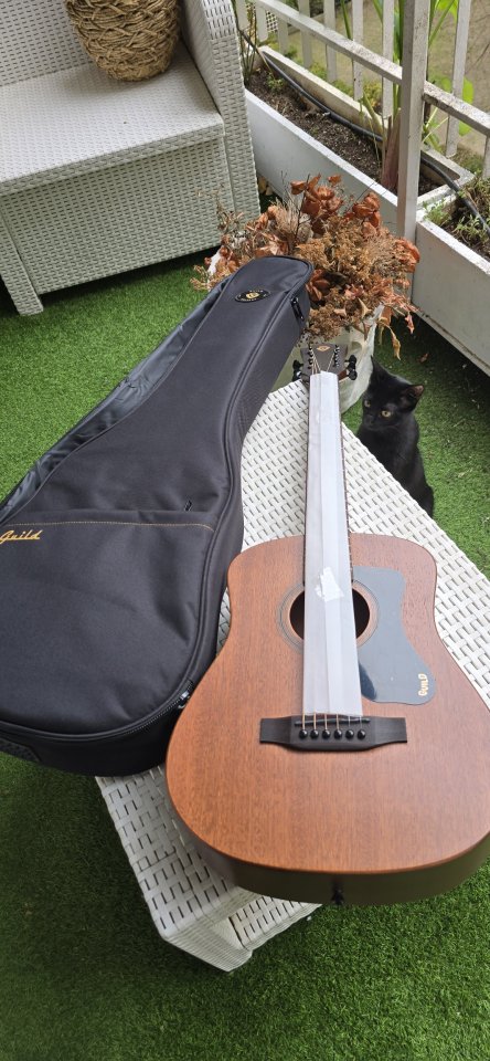 Guild Guitarra Acústica
