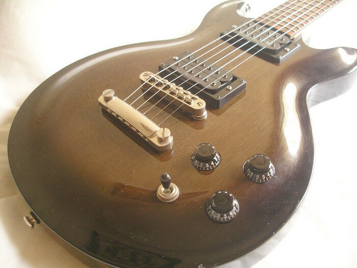 Lag Roxane 100 Standard + apantallado + funda