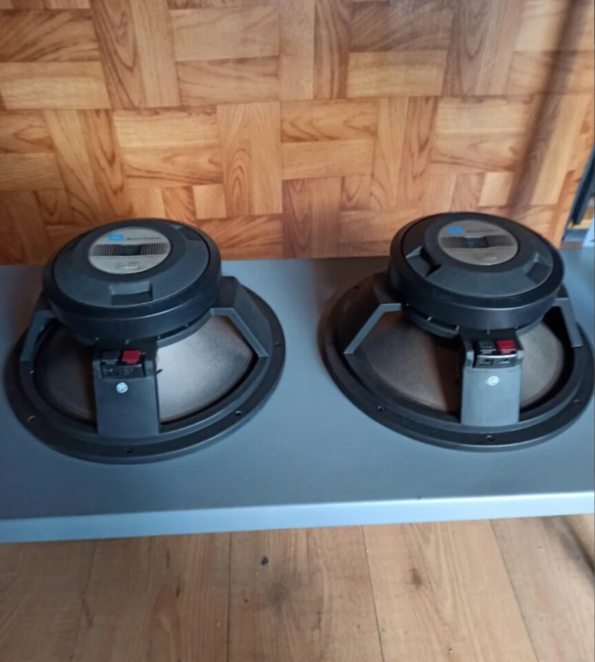 Altavoces Guitarra JBL G125-8, con Regalo!