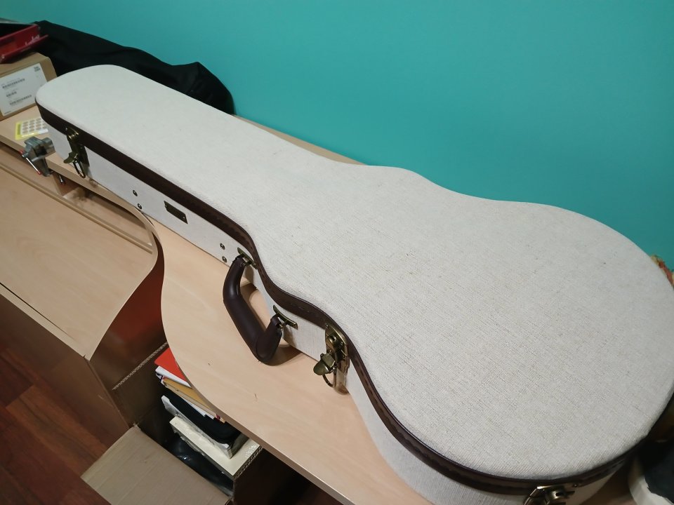 Estuche Gator Journeyman Les Paul