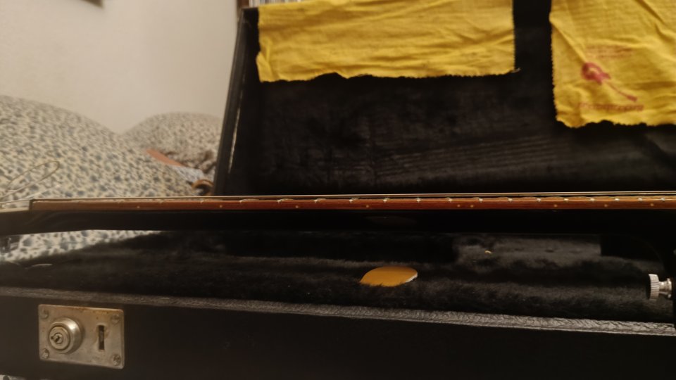 Rickenbacker 350 (año 1989) de segunda mano · Foto 9 de 10 · Madrid · 2000 €
