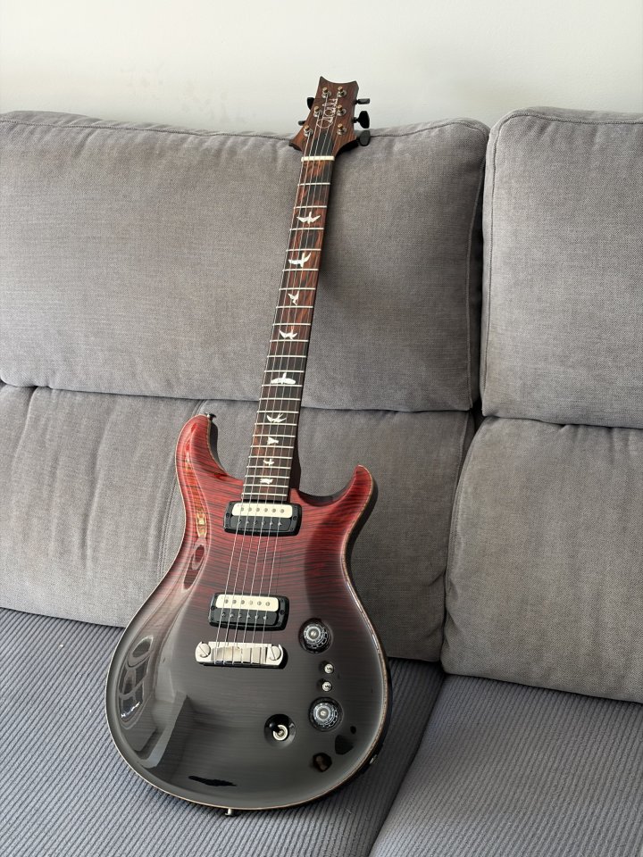 PRS Paul's Guitar Wood Library Rosewood Neck de segunda mano · Foto 1 de 5 · Madrid · 5500 €