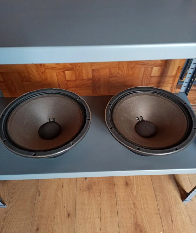 Altavoces Guitarra JBL G125-8, con Regalo!