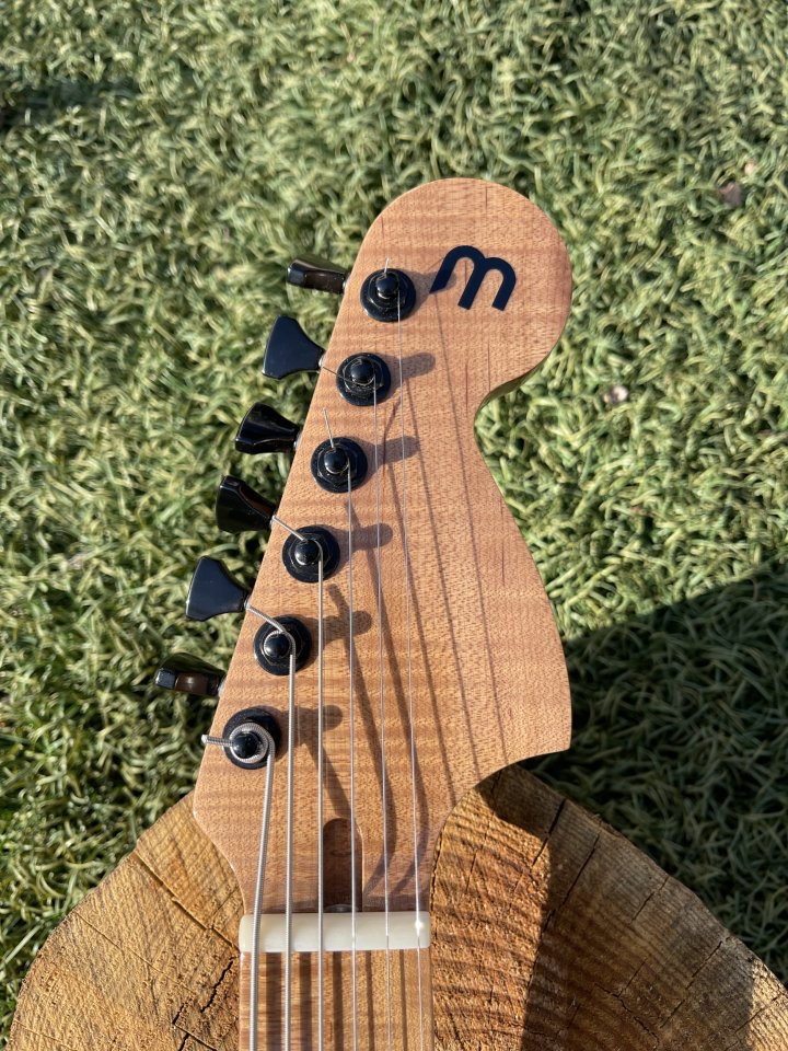Jaguar badak guitars